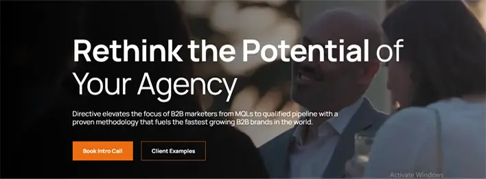 Directive Consulting