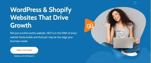 Seota Digital Marketing 