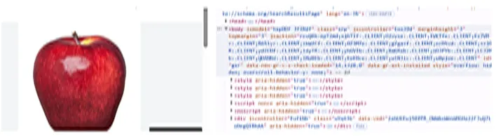 Showing the image of an apple with the codes behind it