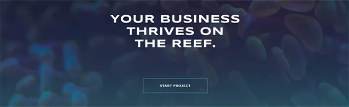 Split Reef